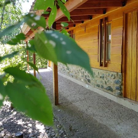 Отель Cabanas Brisas Del Bosque Вилья-Сьюдад-Парке Экстерьер фото