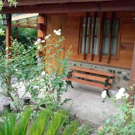 Отель Cabanas Brisas Del Bosque Вилья-Сьюдад-Парке Экстерьер фото