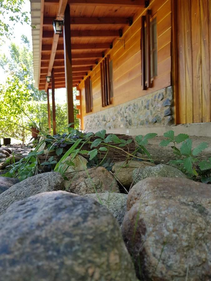 Отель Cabanas Brisas Del Bosque Вилья-Сьюдад-Парке Экстерьер фото
