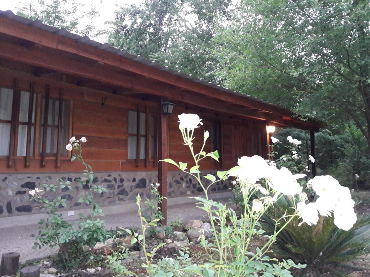 Отель Cabanas Brisas Del Bosque Вилья-Сьюдад-Парке Экстерьер фото