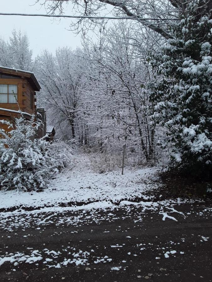 Отель Cabanas Brisas Del Bosque Вилья-Сьюдад-Парке Экстерьер фото