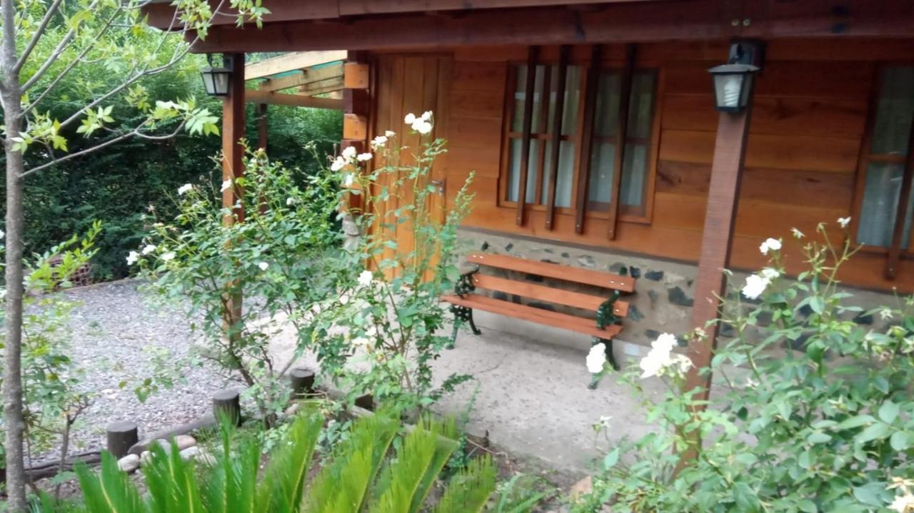 Отель Cabanas Brisas Del Bosque Вилья-Сьюдад-Парке Экстерьер фото